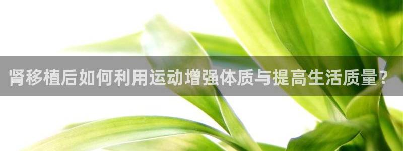 雷鸟体育正版下载官网