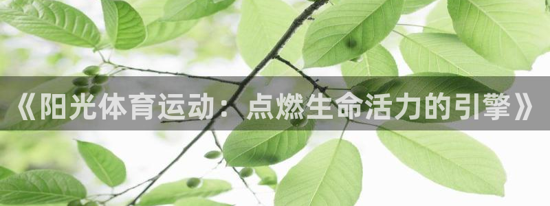 雷鸟体育app下载官网