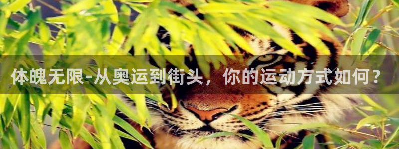 关键词