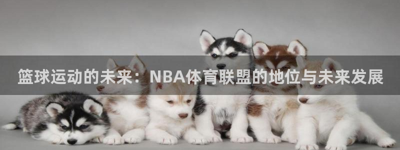 雷鸟体育nba直播