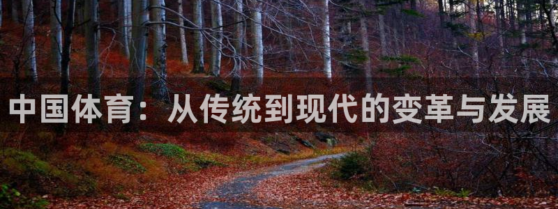 雷鸟体育正版下载