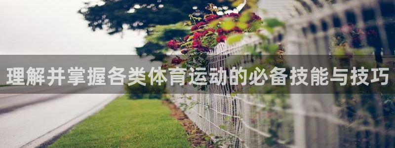 关键词