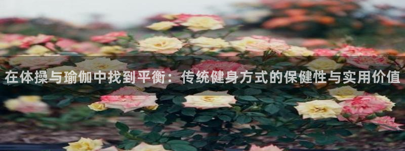 雷鸟体育cba