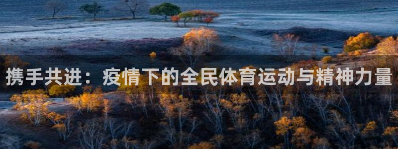 雷鸟体育免费直播软件下载