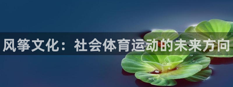 雷鸟体育app