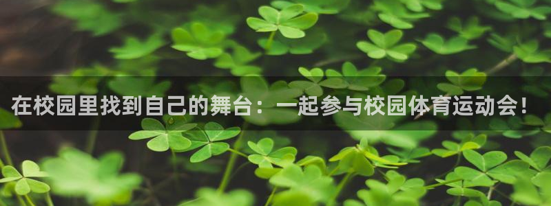 雷鸟体育APP下